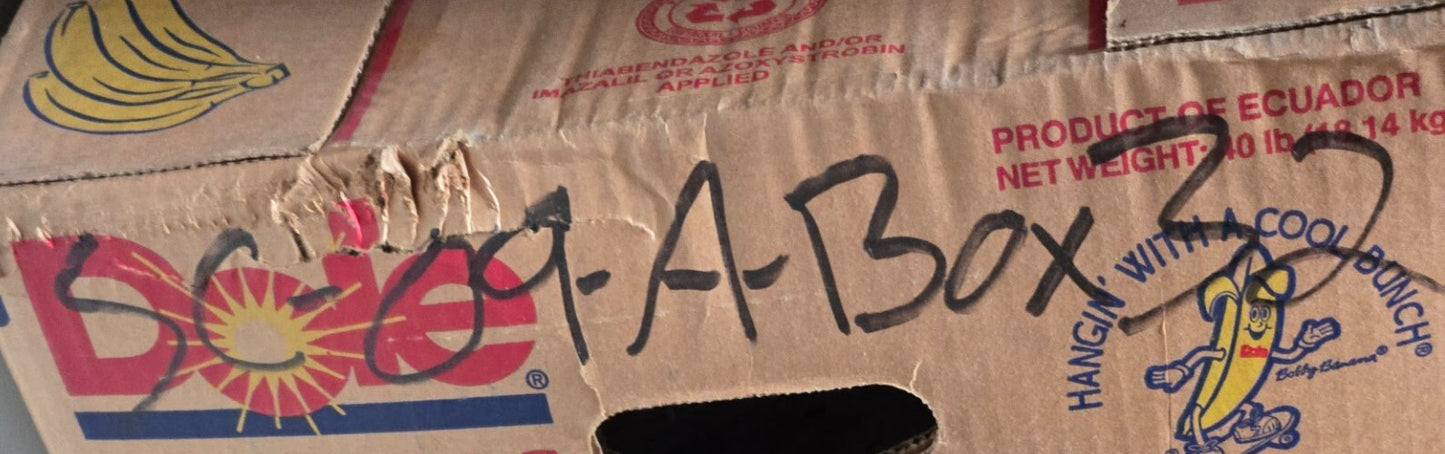 Fram Spin-on Fuel Filter P9644 | 13264 | 009100041302 | 9" Long 3.75" Diameter