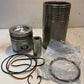 NAPA Cylinder Kit Liner, Piston, Pin & Rings FP9Y9889, FP1979322, BN1608