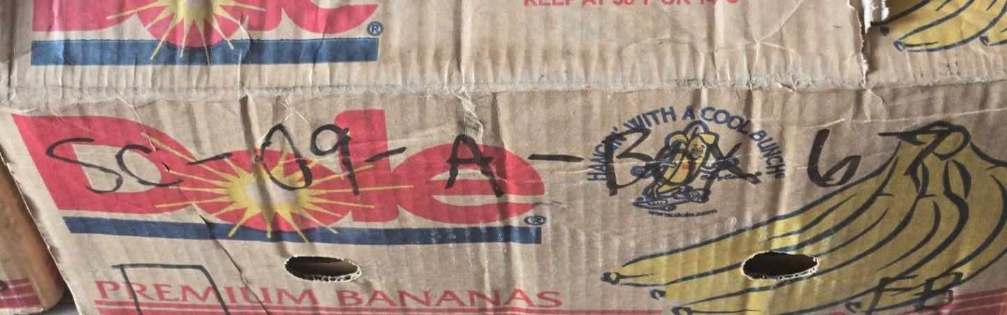 10 Quantity of TEI Ball Bearings 6203-2RS | 40 mm OD x 17 mm Bore (10 Qty)