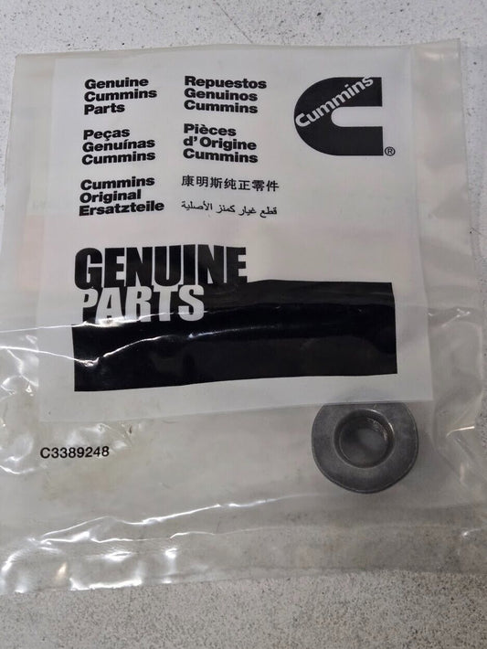 Cummins Luck Nut 4007603