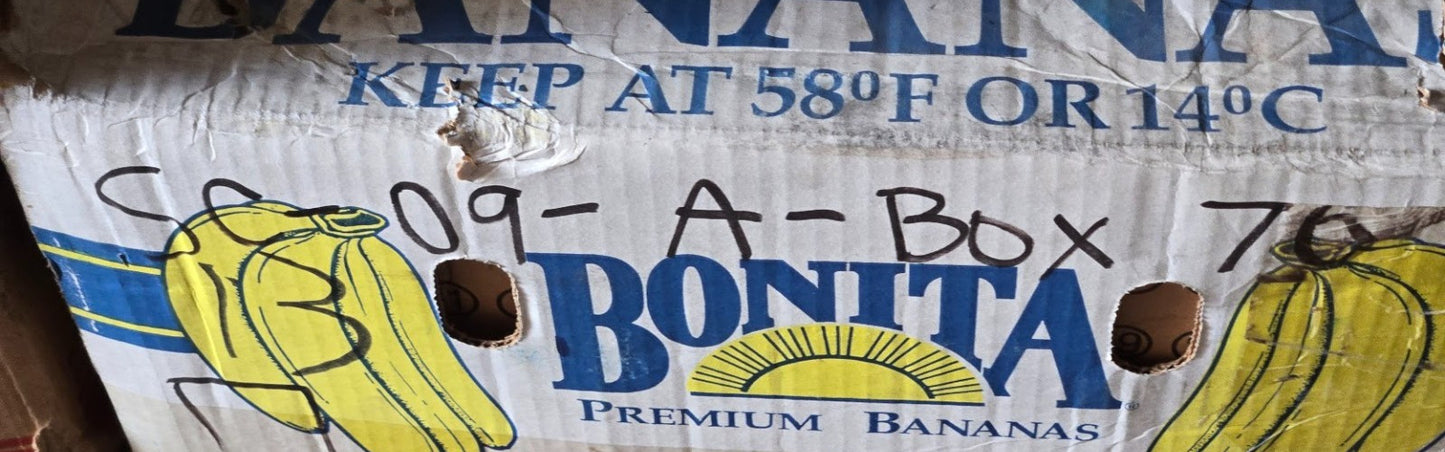 LBC Cylindrical Roller Bearing 4302712 | 83 mm OD x 38 mm Bore x 25.4 mm Thick