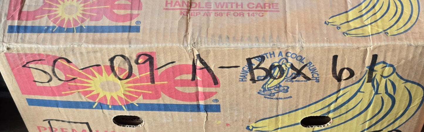 Spur Gear 82 Tooth | 144.36 mm Diameter | 55.56 mm Bore | 31.21 mm Thick