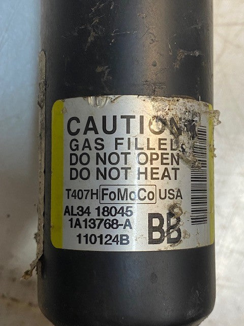 FoMoCo T407H Ford F150 Strut Suspension AL34 18045, 1A13768-A, 110124B