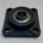 PEER 4-Bolt Flange F204 Insert Bearing FH204-12 | 19mm Bore 3-1/4" W