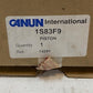 Canun Internation Piston 1S83F9, 14291