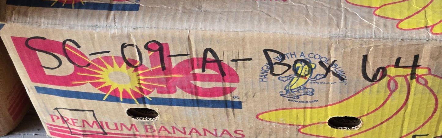 9 Quantity of Metal Shielded Bearings R10Z | 1-3/8" OD x 5/8" Bore (9 Qty)