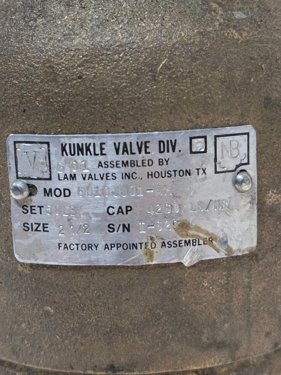 Kunkle Valve 6010JJ01-AM | 2 1/2" 4260 LB/HR