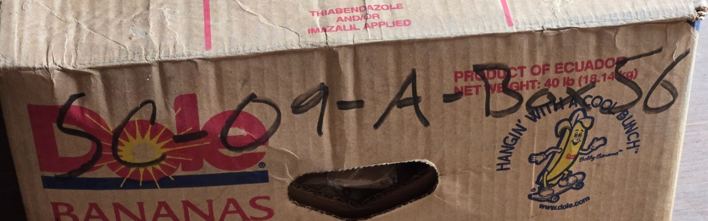 Auto Gear & Parts Valve Control SK971 | 2910-741-0836 | DA20 113-ORD 29274