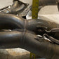 Ducati '98 Motorcycle Exhaust Manifold