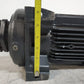 Leroy Somer LT-LD Pump LT33 | FTA1704 | B04 | LS80L | 542398PM001 | DP0013307