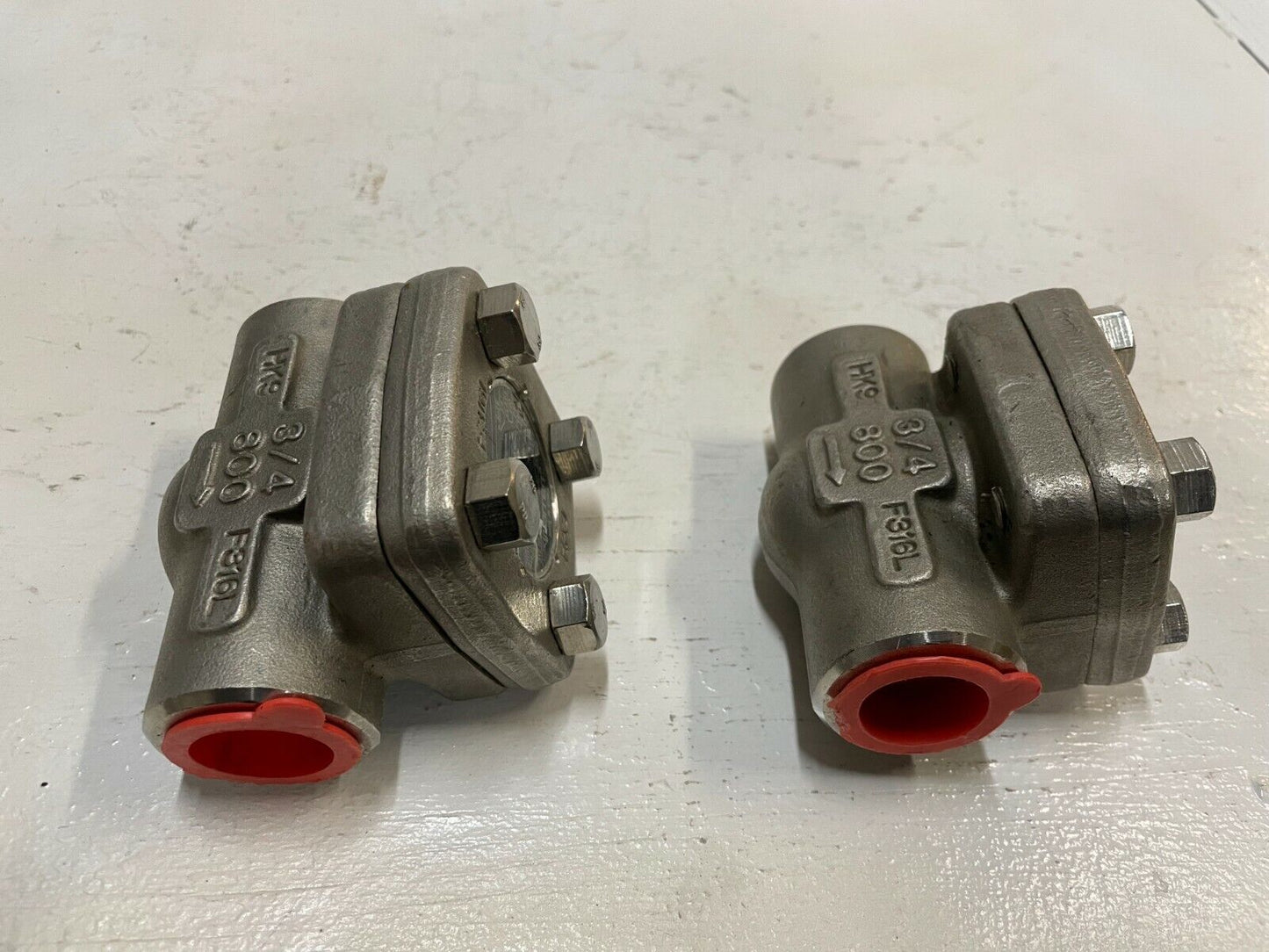 2 Warren F316L | 803HF | 3/4" | 1600 PSI Check Valve (Set of 2)