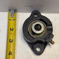 2 Quantity NTN 3" 2 Bolt Flange Bearing with 1/2"Insert | FLU201V | (2 Quantity)
