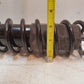 2 Quantity of Shock Absorber 58623 | 1105272031 | P29P710 (2 Qty)