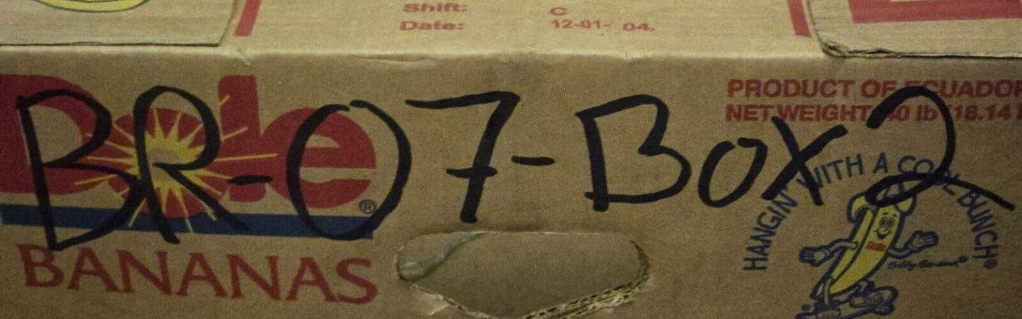 10 Quantity of Wagner BP17916 Multi-Purpose Light Bulbs 04273932596 (10 Qty)