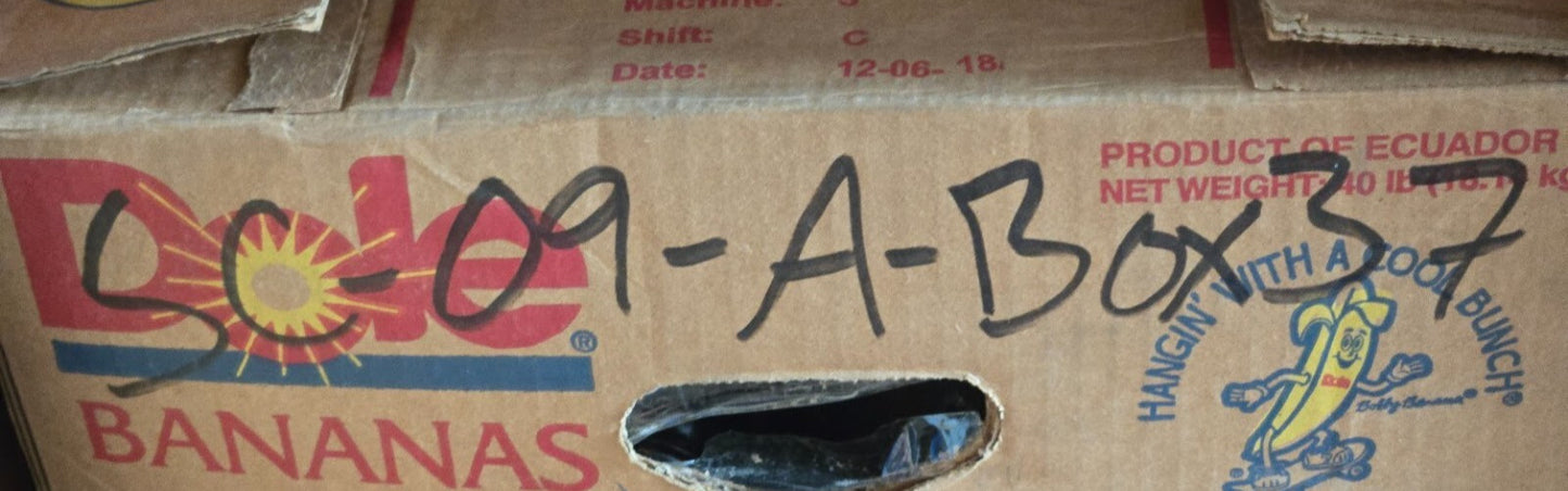 Bucket Pin 5815-04 | 1-3/4" Diameter 5-3/4" Pin Length | 6-1/2" Total Length