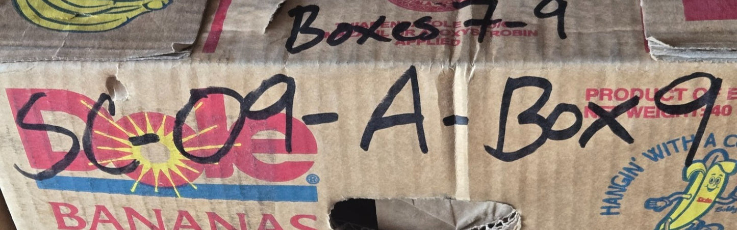Boxlight Projector Lamp MW6A 1AA2SPF0153 | 1AV4T30B05900 | 101610773 | 442112901