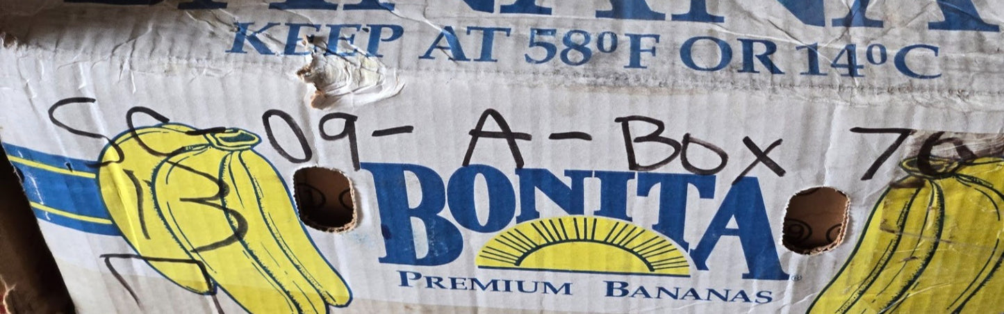 2 Quantity of SKF Roller Bearing Cups 492A | 5-1/4 in OD x 7/8 in Thick (2 Qty)