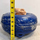 Blue Automatic Transmission Torque Converter Fluid Coupling Drive Assembly