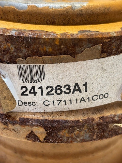 ITR Case Top Carrier Roller Assembly 10" Length 6" Diameter | 241263A1
