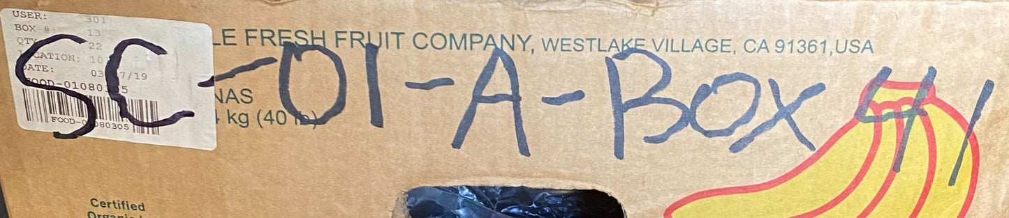 10 Pack of Ricambio Originale Diesel Injection Plunger Barrels 1418450005