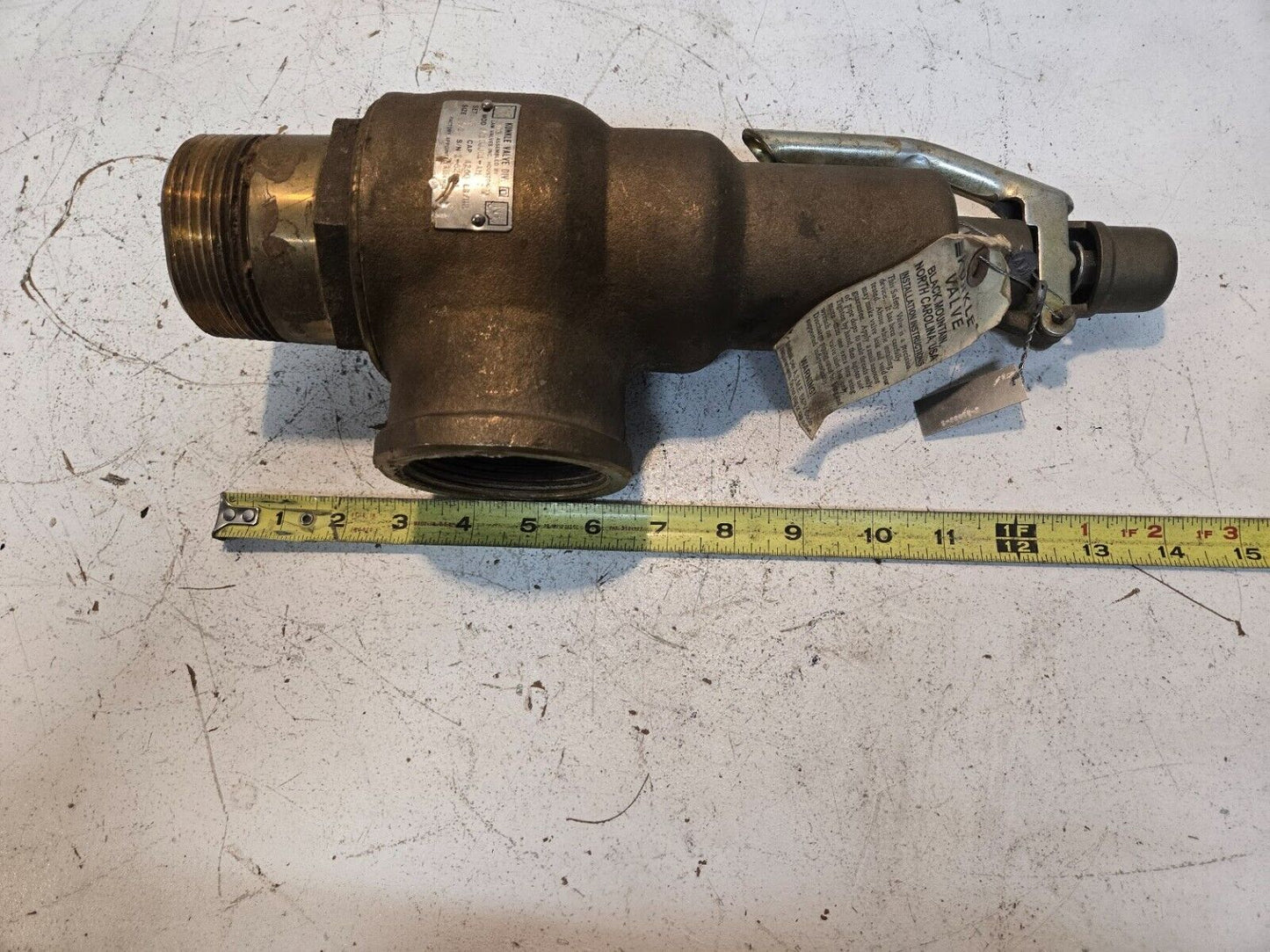 Kunkle Valve 6010JJ01-AM | 2 1/2" 4260 LB/HR