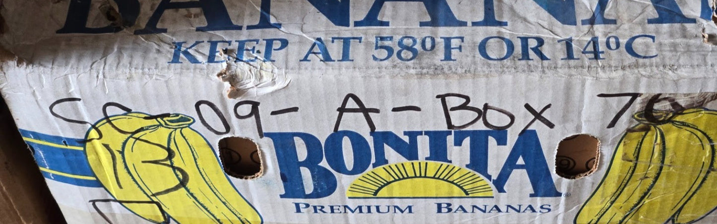 INA Cylindrical Roller Bearing 1228-B-1042 | F-390645 | 90 mm OD x 40 mm Bore