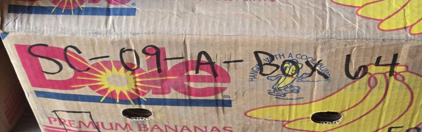 4 Quantity of ZZ Ball Bearings 6204-RS | 47 mm OD 20 mm Bore 14 mm Thick (4 Qty)