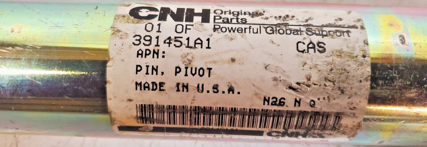 CNH New Holland Front Axle Pivot Pin 391451A1 | N26