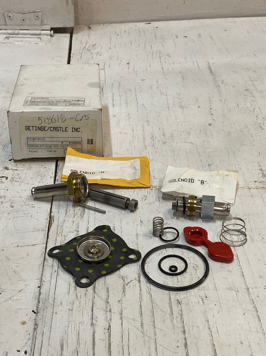 Getinge/Castle Dual Solenoid Valve Repair Kit 518018 | 3054731