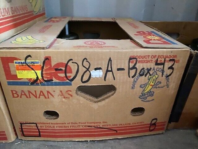 Torque Converter Driven Clutch 7-1/2" W 19mm Bore 39mm Thick