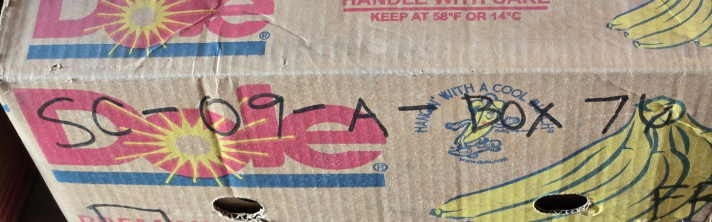 Wheel Bearing HA517011 | 20081209Y | 96 mm OD x 54 mm Bore x 51 mm Thick