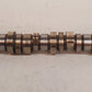 Engine Camshaft for Volvo 21198713 | 96564 | 14W08