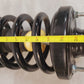 Arnott Industries Suspension Strut & Coil Spring 29-10100 | D10319