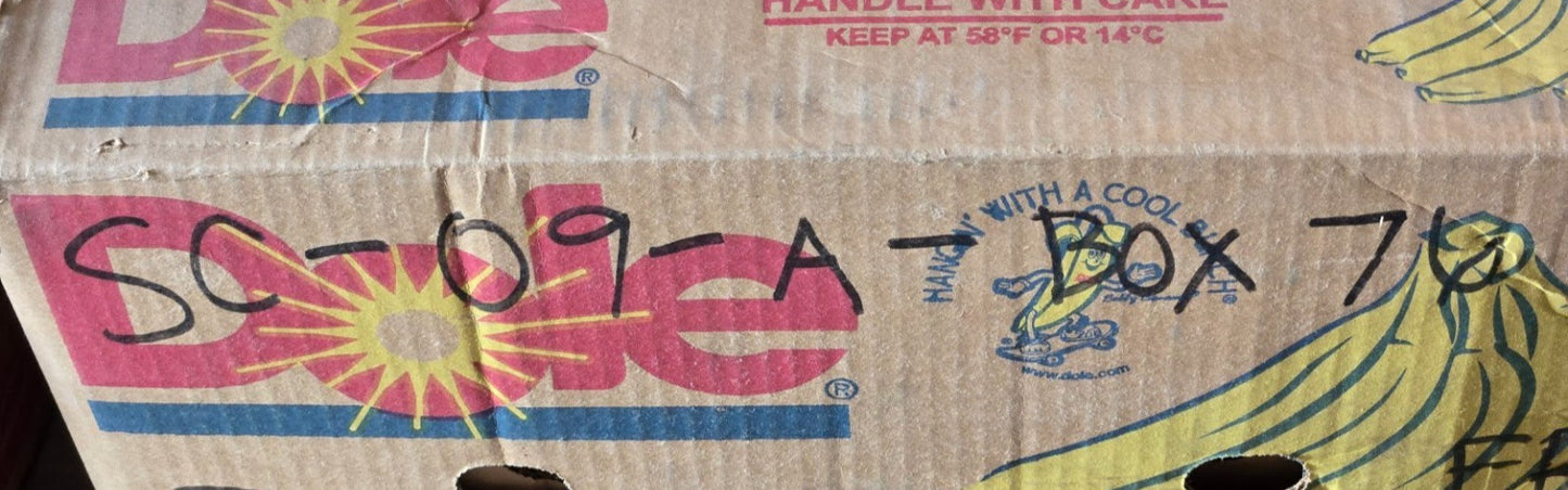 9 Quantity of GBI Metal Shielded Ball Bearings 6005Z | 47 mm OD  (9 Quantity)