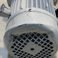 LEM Products 4803 Pump and Motor Assembly