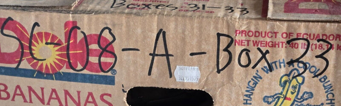 2 Quantity of Isuzu Oil Filter Elements 2-94456-641-0 | 10334 (2 Quantity)