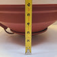 Donaldson Quick Release Dust Cup P107375