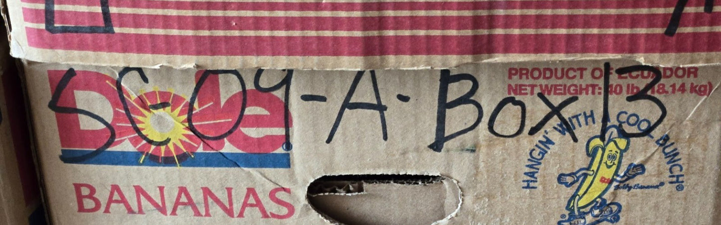 Weight Distribution Hitch Shank | 2" Shank | 6" Drop | 12" Long 8-3/4" Tall