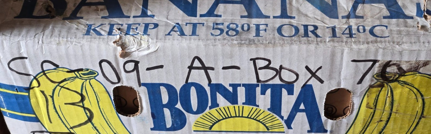 National Tapered Roller Bearing Cone 555S | 13 AH | 2-1/4" Bore 37.25 mm Thick