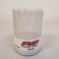 11 Quantity of FVP Premium Oil Filter R0255 (11 Qty)