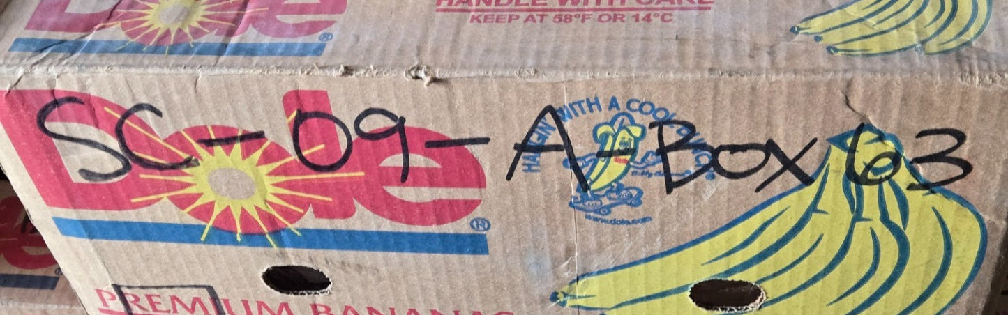 Ford Motorcraft DB-186-A Distributor Breaker Plate | D2PZ-125151-B | 081886