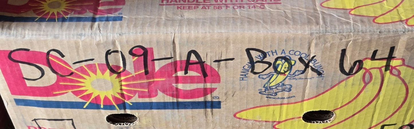 6 Quantity of VNC Tapered Roller Bearing Cones 387A | 2-1/4" Bore (6 Quantity)