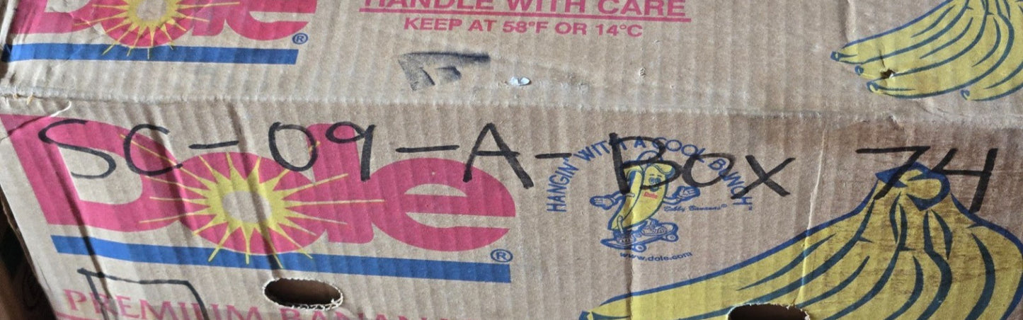 9 Quantity of Ball Bearings 6205-2RS-1R | 52 mm OD 1 in Bore 15 mm Wide (9 Qty)