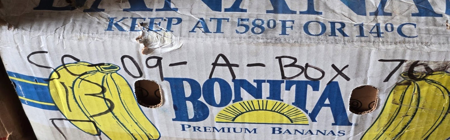 MRC Double Row Ball Bearing 5309CZZ | 04 006C | 100 mm OD x 45 mm Bore