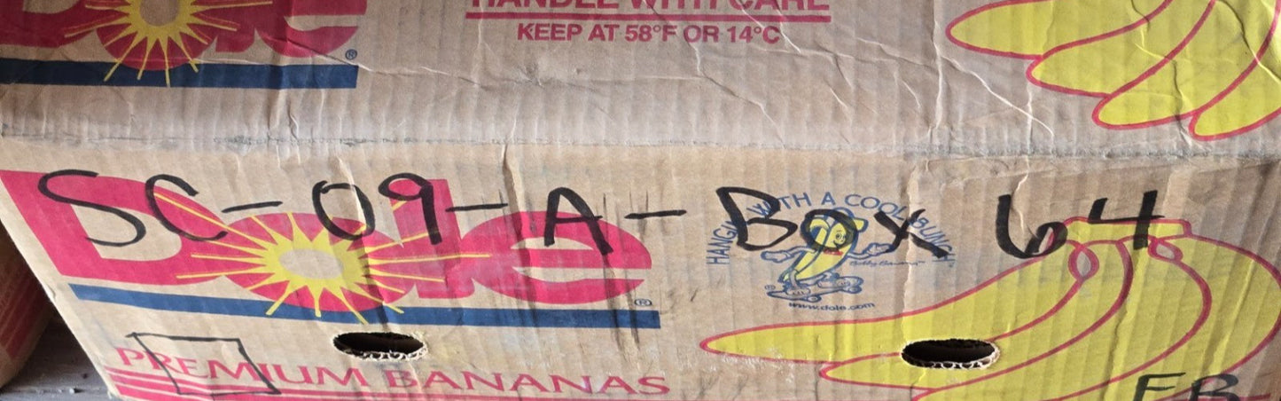 3 Quantity of NSK Ball Bearings 30BWD07 | 60 mm OD x 30 mm Bore (3 Qty)