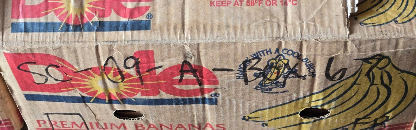 30 Quantity of NMB 6000Z Ball Bearings | 26 mm OD 10 mm Bore 8 mm Thick (30 Qty)