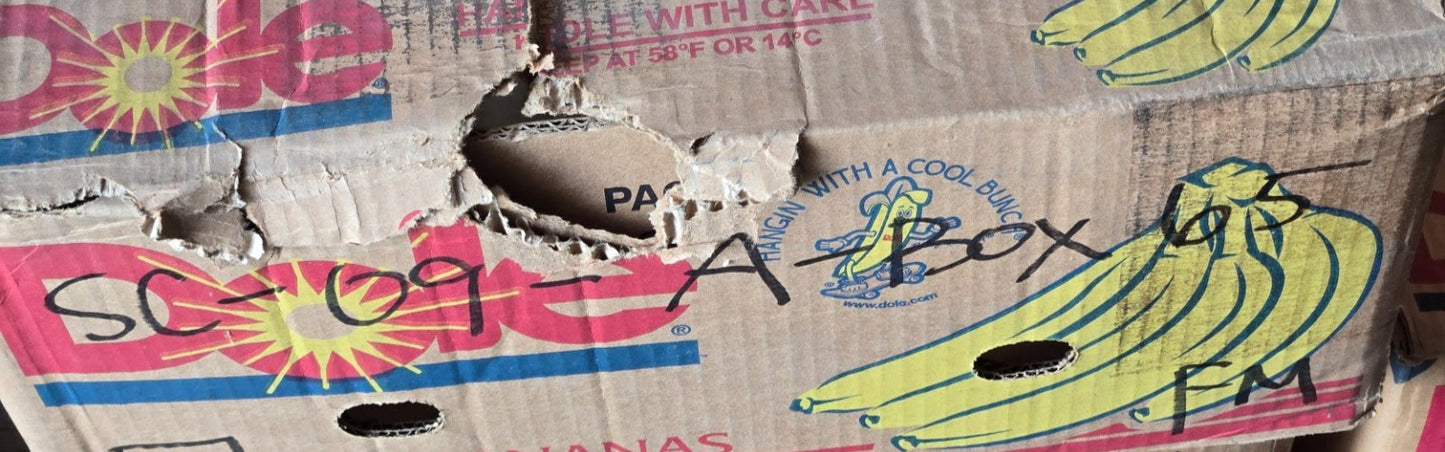 KC Tapered Roller Bearing Cone 32009AX | 45 mm Bore 22 mm Thick | No Outer Race