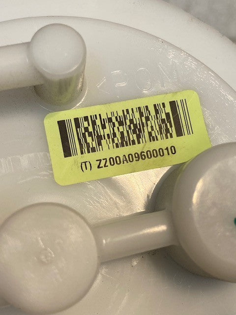 Fuel Pump Module Assembly 219A 1008 | ZZ00A09600010