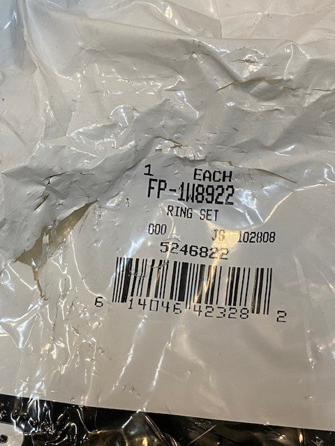 NAPA Cylinder Kit Liner, Piston, Pin & Rings FP9Y9889, FP1979322, BN1608