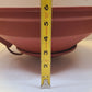Donaldson Quick Release Dust Cup P107375